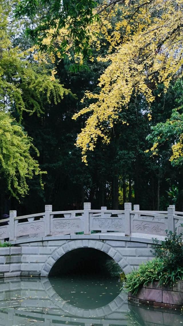 不用急，不用赶，来纯阳观拾起冬日慢时光