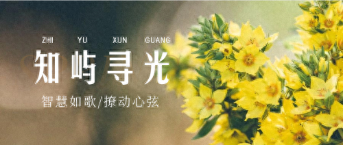 破解知识焦虑，知屿寻光APP以体系化课程重塑学习体验