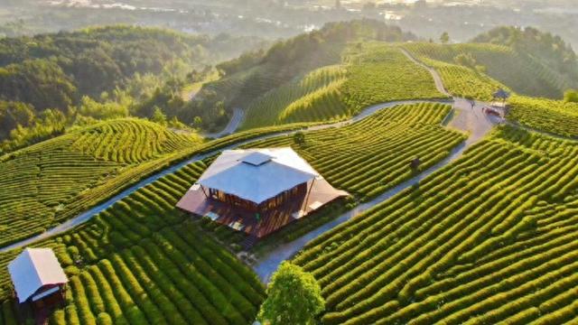 当艺术走入皖南村落，书写了怎样的新风景？