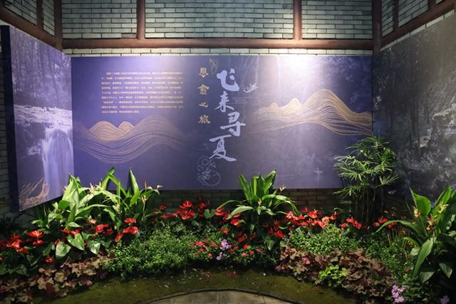 全国首创，杭州西湖飞来峰推出沉浸式疗愈游线