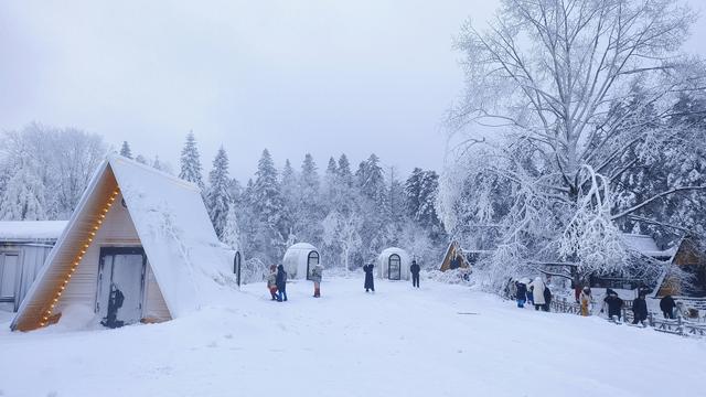吉林延边的雪景到底有多美