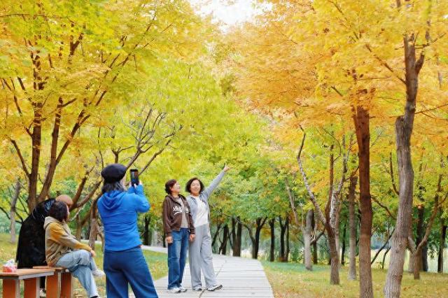 秋之彩色吉林|在长春友谊公园遇见最美秋天