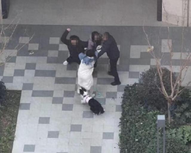 “小姐姐牵绳遛狗被一家人围殴	，邻居帮忙作证也被打伤！打人男子还扬言要杀狗…”警方调取监控，已立案