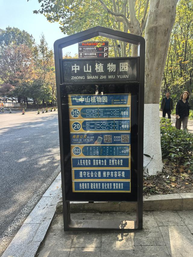 南京紫金山郊野徒步