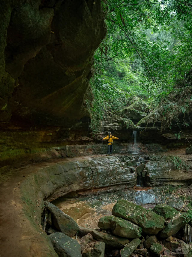 新发现的小众徒步路线！成都周边1.5h茶马古道，免费景美野趣十足