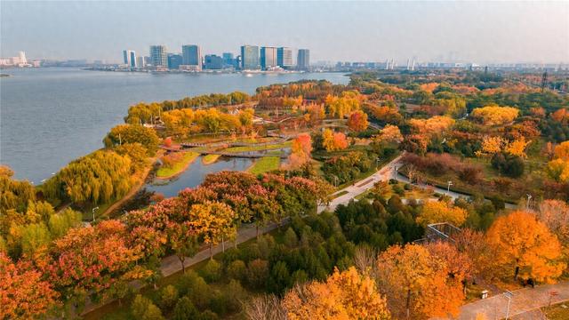 冬日龙湖湿地斑斓如画 城市天际线醉入童话林