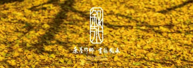 国庆中秋游叙永 | 千年银杏与云端民宿等你邂逅