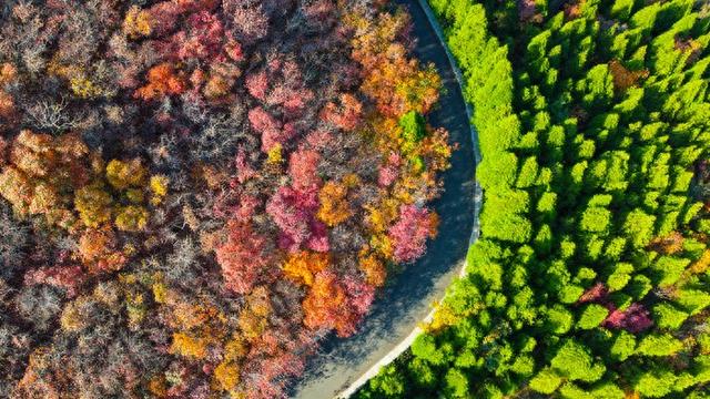 只羡“鸳鸯”不羡仙 | 语闻·城色