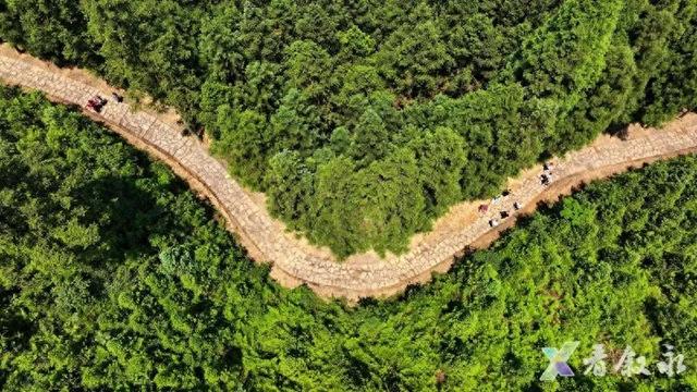 “盐”说叙永：一条古道上的千年回响与文明密码