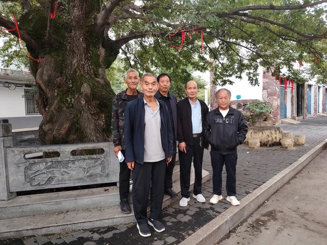 王坪灵秀藏在方寸间