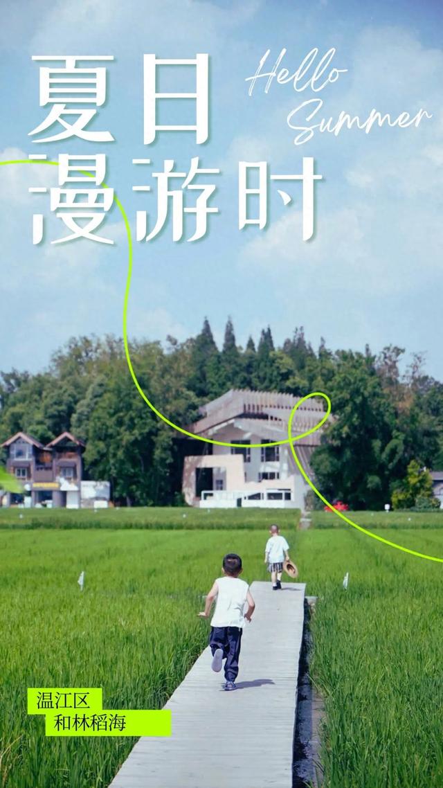 出片率100%！成都稻田迎来最佳观赏期，抓紧打卡！