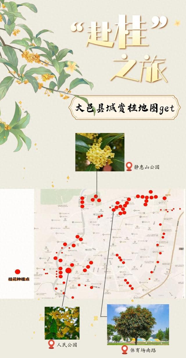 你闻，现在的大邑是桂花味儿的~
