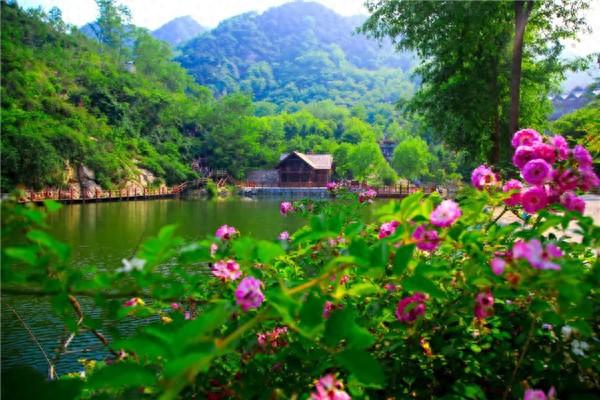 漫游历下 畅玩一夏丨康辉旅游集团山东国际旅行社推出“泉韵乡野·诗意栖居”微旅游产品