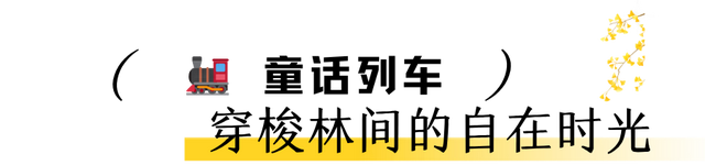 西溪南的漫游图鉴 | 皖美冬日 | 第十五届安徽国际文化旅游节