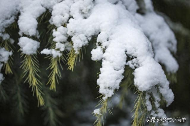 “小雪定冷暖	”，今日小雪	，今年冬天是冷冬，还是暖冬？答案来了