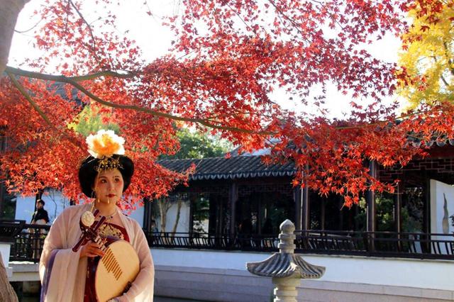 江苏苏州：虎丘“枫”景迷人