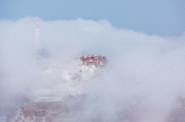 雪后初霁 泰山云海雾凇相映成趣