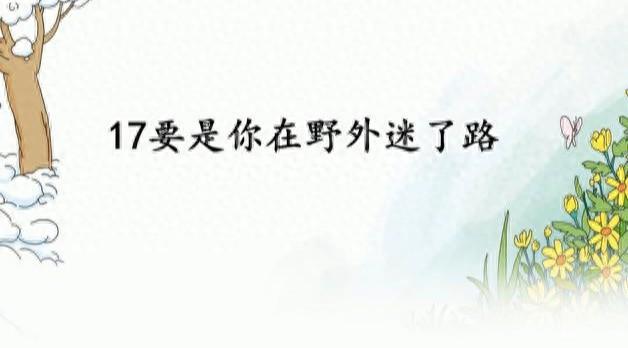 席绿竹