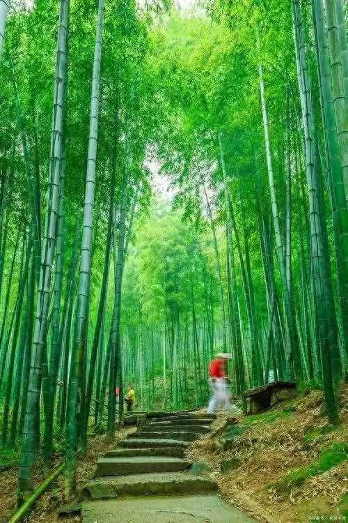 彩色旅图｜临安印象：有人半夜持山去，顿觉浮岚暖翠空
