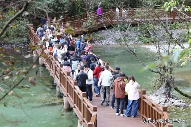 宕昌官鹅沟解锁流量密码！“小钻风”引爆山水景区新玩法