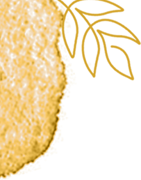 黄河一号旅游公路：千里风景廊道解锁文旅新体验