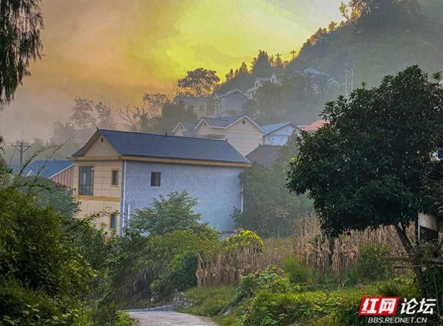 岁暖时刻丨雾锁湘西晨色里，一方秘境藏烟火