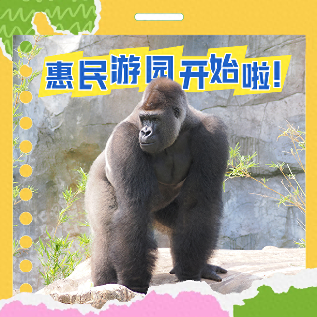 报名了！红山动物园3.5万张免费门票