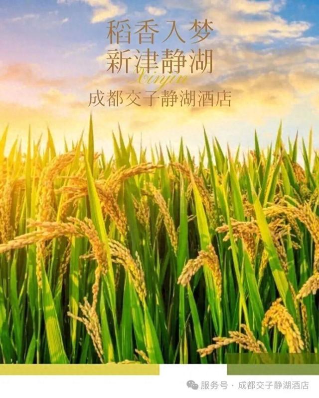 岷江旁稻田里 ，天府农博园又一高端酒店即将启幕！