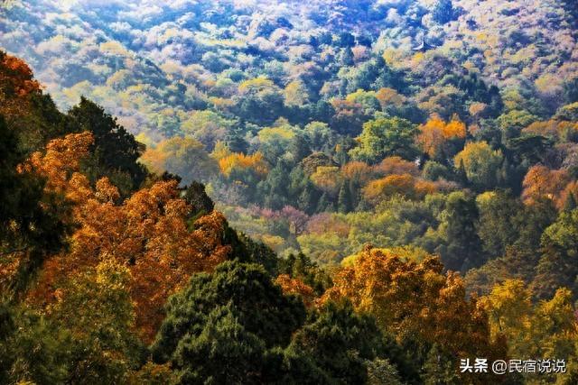 北京叶正红，不止香山，还有这几个。