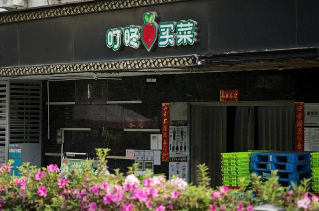 叮咚买菜设10个独立事业部，强化供应链和自有品牌