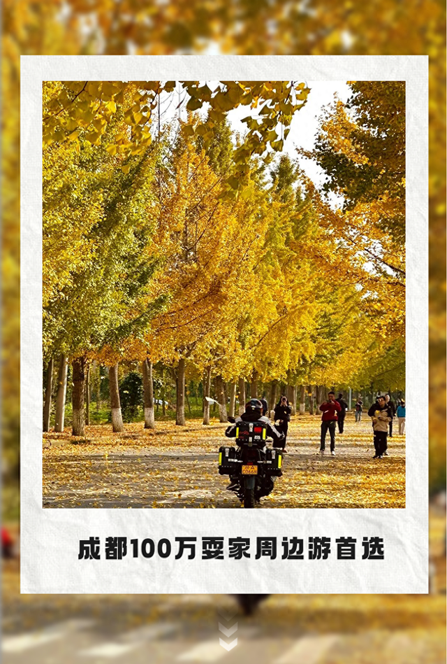 周末出国！高铁20min直达最美异域小城！风光极致美食无敌，入秋满城银杏美哭！