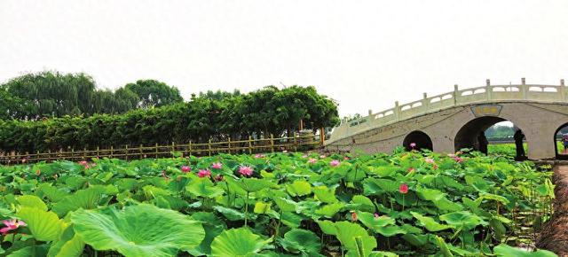 大寺荷风
