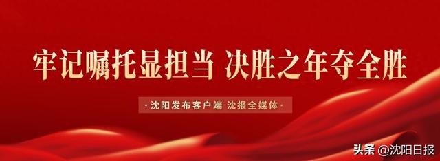从半导体产业到“银发经济”，沈阳多元布局发展新质生产力
