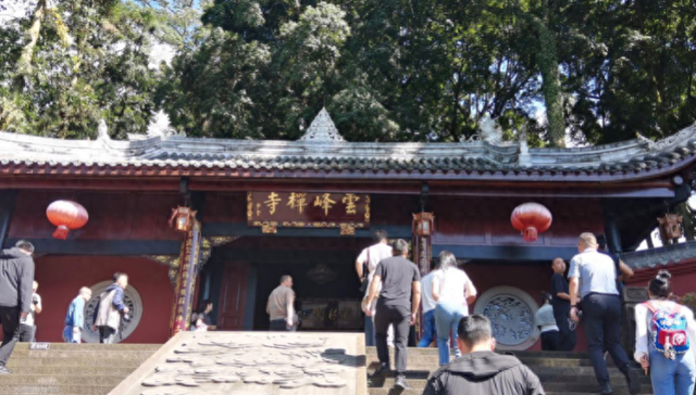 云峰山“中国最美桢楠林”引领雅安荥经生态文旅振兴路