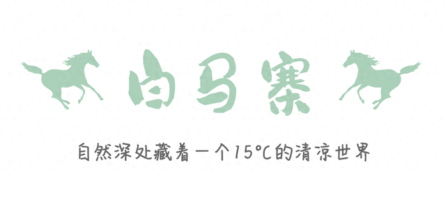 40℃你别来添乱，我要去白马王朗过15℃的夏天