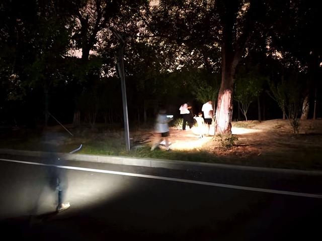 夜幕下的夏日狂欢！郑州树木园里成群结队摸“爬叉”