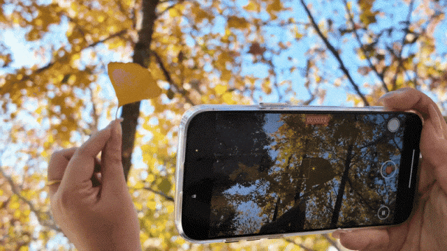 在曹杨，有些路，季节会为它停留