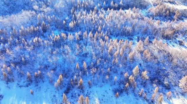 寒意浓 愿你我暖意常伴