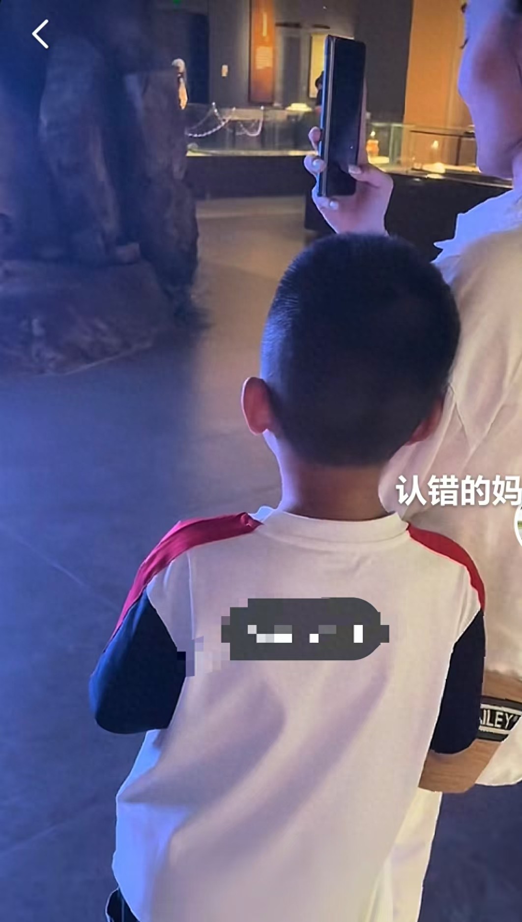 小孩哥旅游参观 抬头发现抱错妈了,亲妈不语只一味在旁边笑