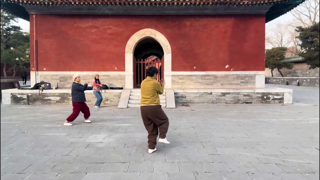 地坛晨练20251130之陈氏太极拳83势习练