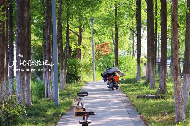 浙江宁波的江畔公园，湿地、溪谷、花海等一应俱全，堪称露营胜地