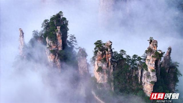 张家界错峰游热度高 天子山云海胜景醉游客