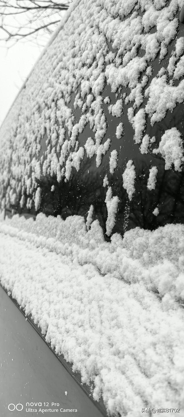 无论什么情况下，都要诚实对人