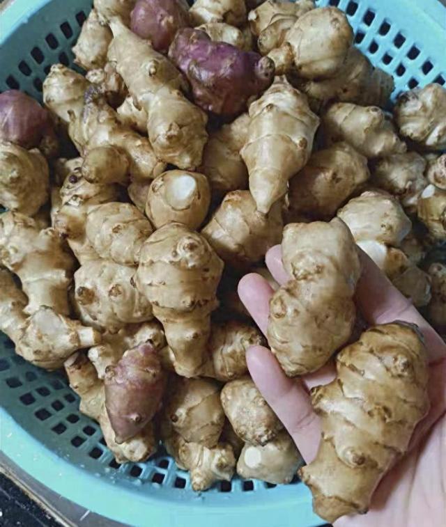 嫩生姜最好吃的腌制方法介绍（腌鬼子姜详细做法）