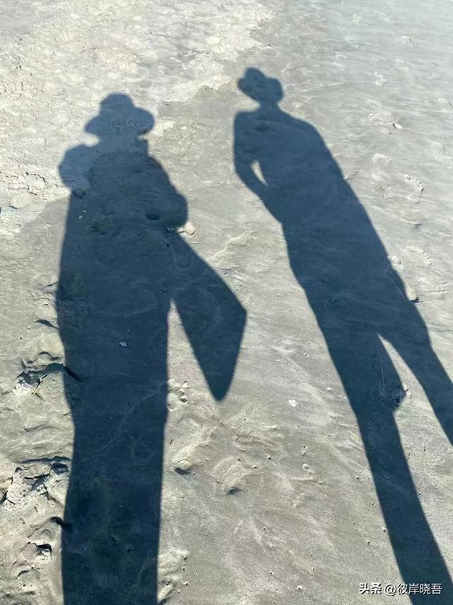 我和约翰的异国情缘22 手机和驾照都被拒绝