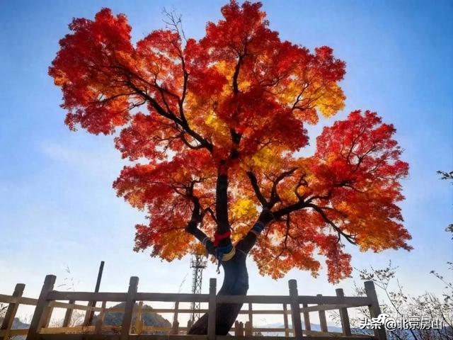 赤染宝水·把秋天绘成一幅画! 赤染宝水·把秋天绘成一幅画!