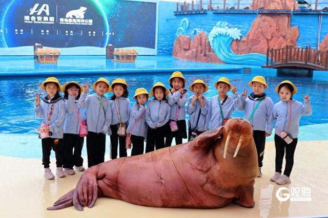 海洋类研学旅游受热捧，青岛文旅市场如何充分挖掘“蓝色家底”