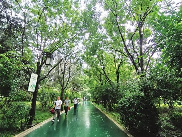 太原市民享受公园雨后美景