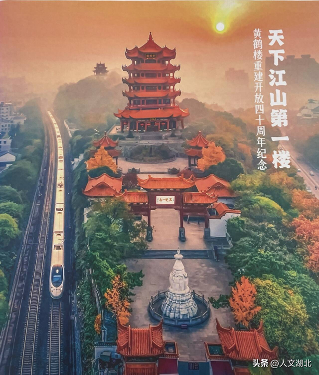 卢纲被聘为新一届黄鹤楼文化顾问