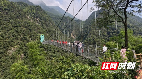 娄底避暑好去处丨从云端到绿野 三联峒暑期旅游热度持续攀升